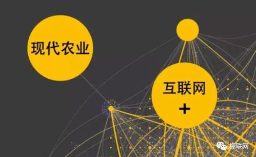 農(nóng)產(chǎn)品網(wǎng)絡(luò)銷(xiāo)售的困境與挑戰(zhàn)